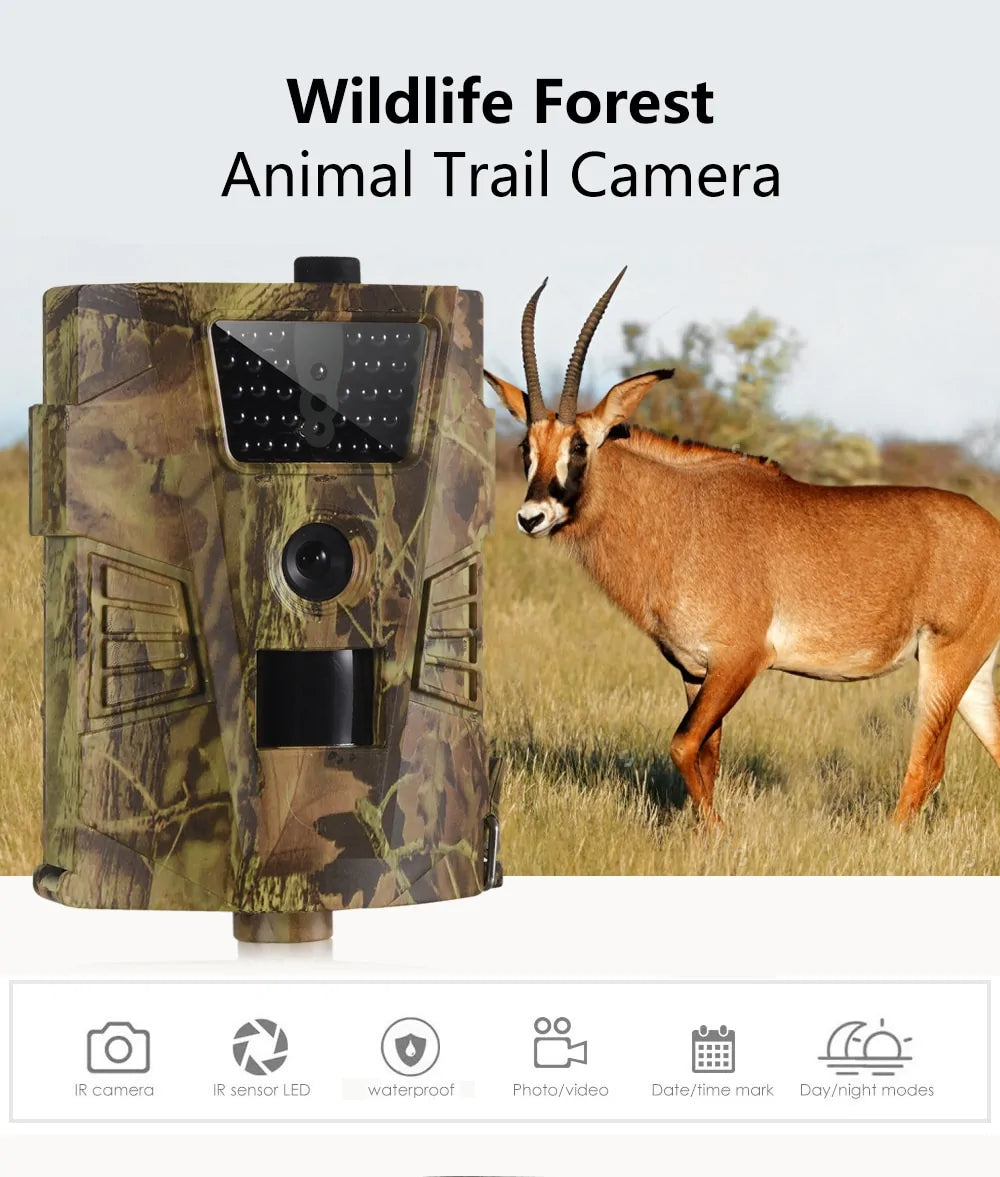 Hunting Camera in Action